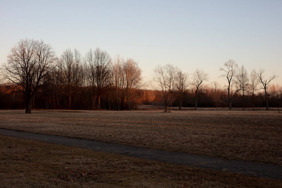 Purple Beam e-scooters parked in a row on a sunny day, ideal for urban transport themes.