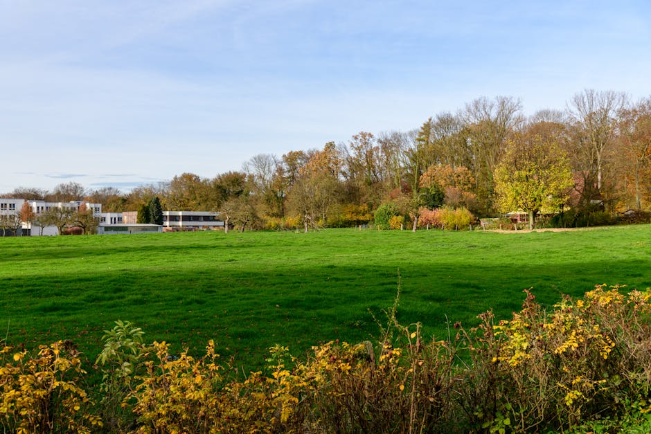 Person riding electric scooter next to a modern office building in the city. Captures urban mobility.